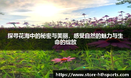 探寻花海中的秘密与美丽，感受自然的魅力与生命的绽放